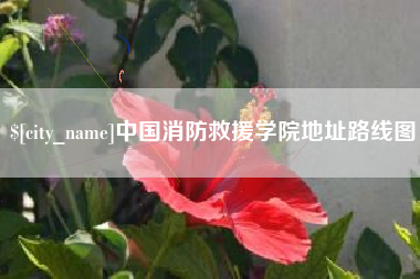 邹平中国消防救援学院地址路线图