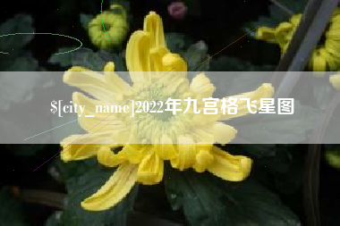 邹平2022年九宫格飞星图