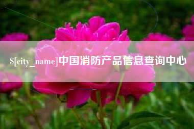 邹平中国消防产品信息查询中心