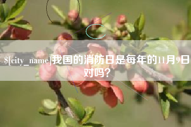 邹平我国的消防日是每年的11月9日对吗？