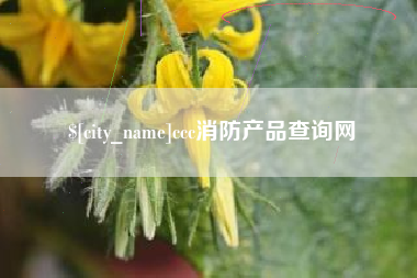 邹平ccc消防产品查询网