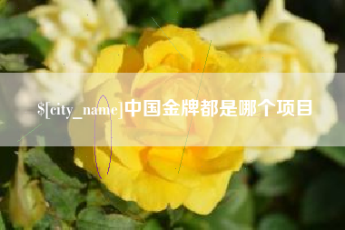 邹平中国金牌都是哪个项目
