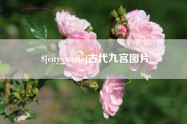 邹平古代九宫图片