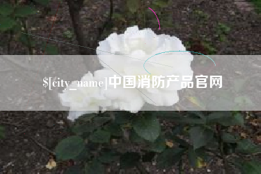 邹平中国消防产品官网