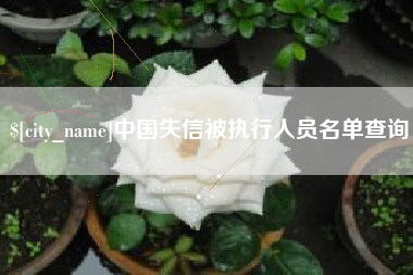 邹平中国失信被执行人员名单查询
