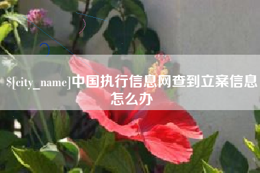 邹平中国执行信息网查到立案信息怎么办