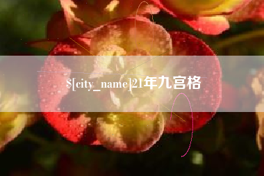 邹平21年九宫格
