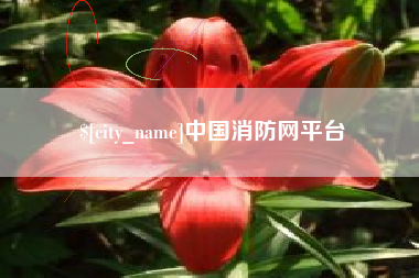 邹平中国消防网平台
