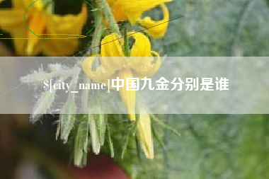 邹平中国九金分别是谁
