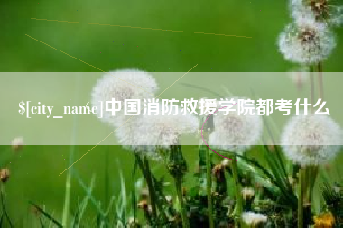 邹平中国消防救援学院都考什么