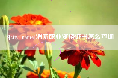 邹平消防职业资格证书怎么查询