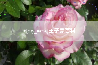 邹平王子豪百科