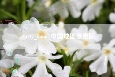 邹平中国地图像素版