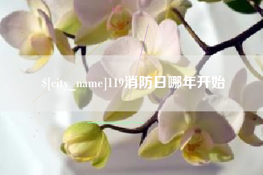 邹平119消防日哪年开始
