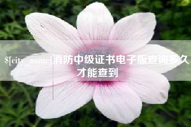 邹平消防中级证书电子版查询多久才能查到