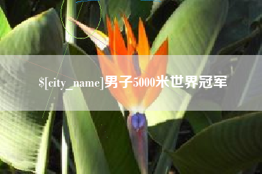 邹平男子5000米世界冠军