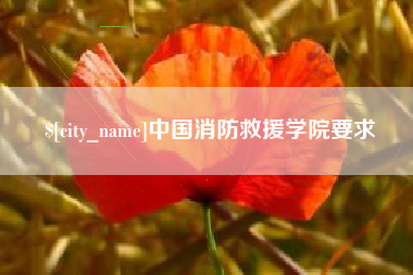 邹平中国消防救援学院要求