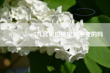 邹平九宫星位是定位不变的吗