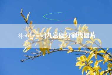 邹平九宫图分割线图片