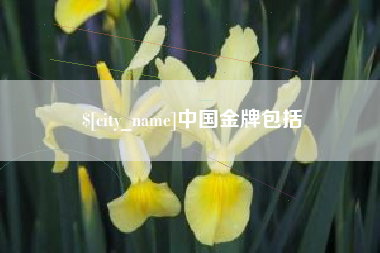 邹平中国金牌包括