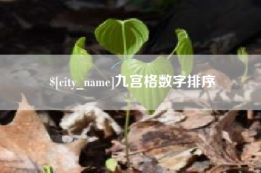 邹平九宫格数字排序
