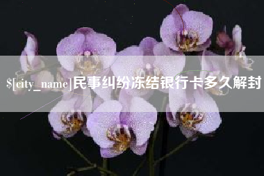 邹平民事纠纷冻结银行卡多久解封