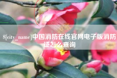 邹平中国消防在线官网电子版消防证怎么查询