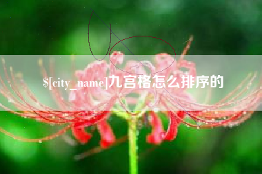 邹平九宫格怎么排序的
