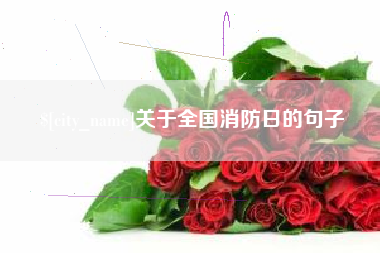 邹平关于全国消防日的句子