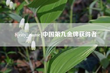 邹平中国第九金牌获得者