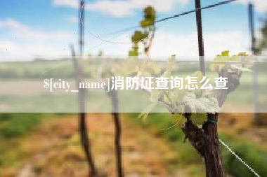 邹平消防证查询怎么查