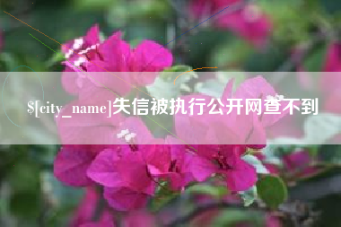邹平失信被执行公开网查不到