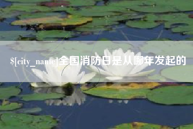 邹平全国消防日是从哪年发起的