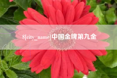 邹平中国金牌第九金