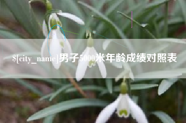 邹平男子5000米年龄成绩对照表