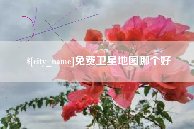 邹平免费卫星地图哪个好