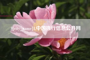 邹平1.中国执行信息公开网