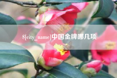 邹平中国金牌哪几项
