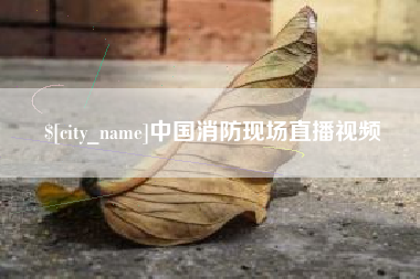 邹平中国消防现场直播视频