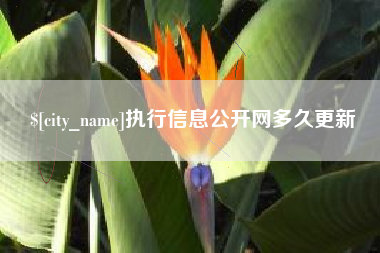 邹平执行信息公开网多久更新