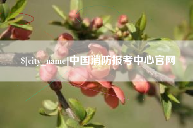 邹平中国消防报考中心官网