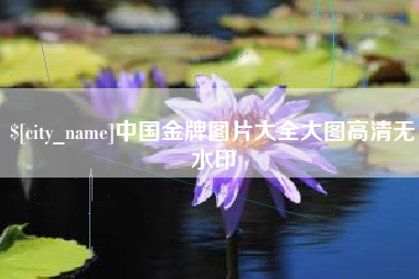 邹平中国金牌图片大全大图高清无水印