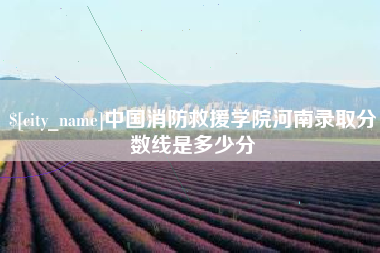 邹平中国消防救援学院河南录取分数线是多少分