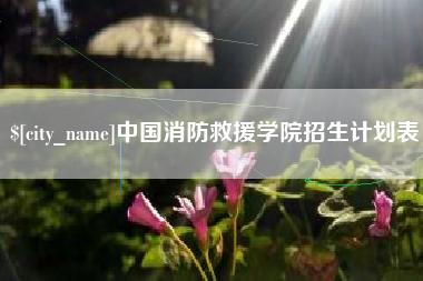 邹平中国消防救援学院招生计划表