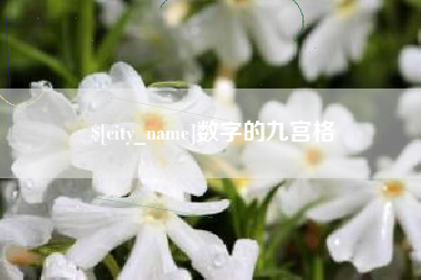 邹平数字的九宫格