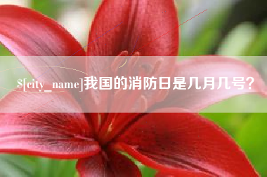 邹平我国的消防日是几月几号？