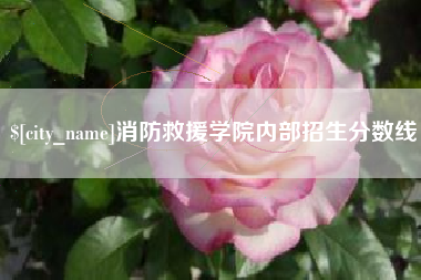 邹平消防救援学院内部招生分数线