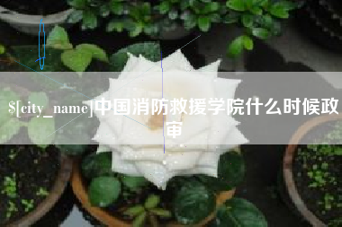 邹平中国消防救援学院什么时候政审