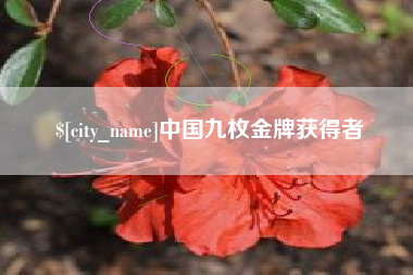 邹平中国九枚金牌获得者