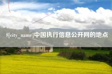 邹平中国执行信息公开网的地点